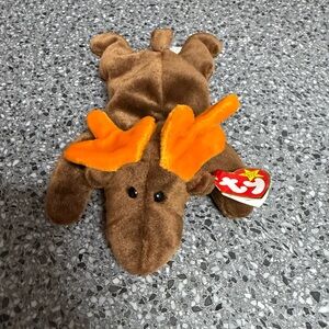 1993 Retired "Chocolate" the Moose Ty Beanie Babies Rare with Errors